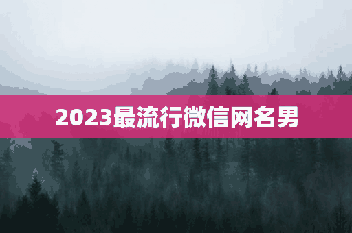 2023最流行微信网名男(2023最流行微信网名男生)